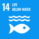 Fisheries & Marine Management
