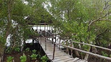 Wildlife & Ecotourism