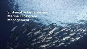 Fisheries and Marine Management