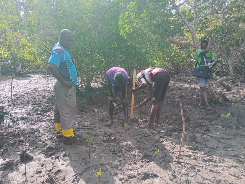 Research and Data Collection: Informing Conservation Strategies